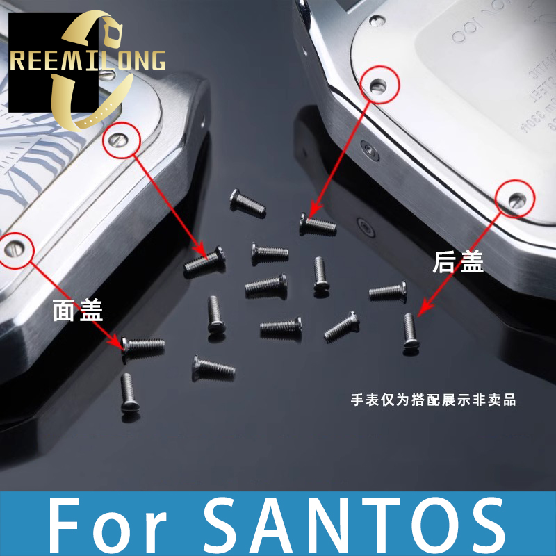 2pcs Watch cover screws for Sa - Women'S Accessories Cartier のレビューと価格